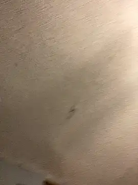 Miguel16i online show from 12.28.24