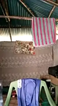 Brian johns online show from 12.31.24