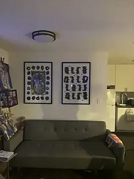 TheOnlyTwinTowers online show from 02.22.26