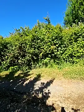 Reinacatchile online show from 12.14.24