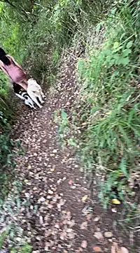 Reinacatchile online show from 02.04.25