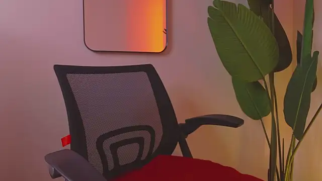 Whitney Svonn online show from 03.11.25