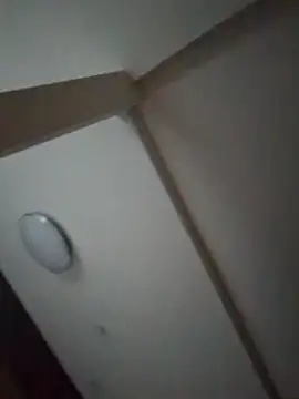 pnp0Japan online show from 02.27.25