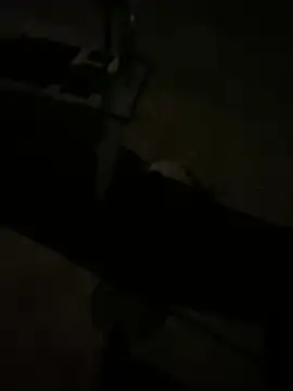 nowex18 online show from 03.11.26