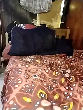 Stallion100 online show from 02.12.25