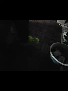 0815lukas2024 online show from 11.16.25