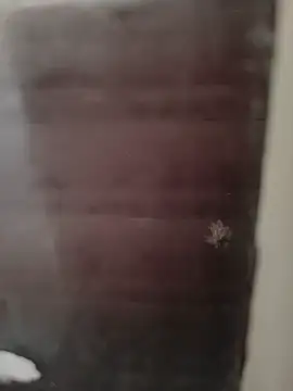 Snapshot of hardgetsex chatting on 09.29.25 hardgetsex online show from 09.29.25