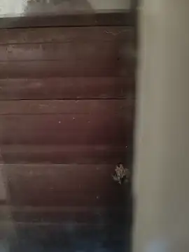 Snapshot of hardgetsex chatting on 10.04.25 hardgetsex online show from 10.04.25