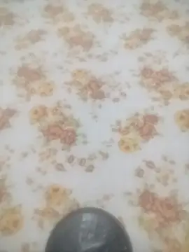 Snapshot of Working- chatting on 01.19.26 Working- online show from 01.19.26