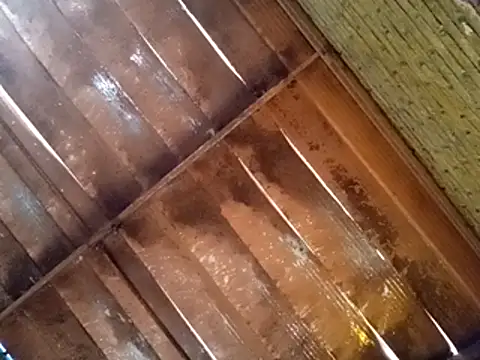 Pablunt-rap online show from 11.14.25