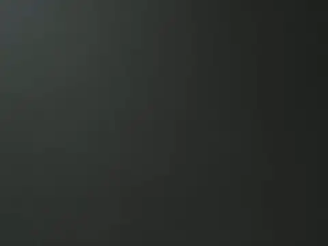 Snapshot of hideonbush051 chatting on 12.22.25 hideonbush051 online show from 12.22.25