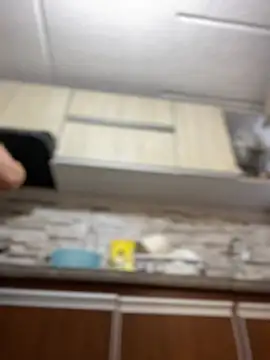 Salome golvert online show from 03.02.25