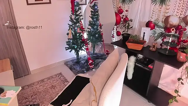 Snapshot of rossth1 chatting on 12.22.24 rossth1 online show from 12.22.24