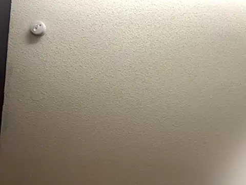 Snapshot of Bigbootylavishh chatting on 12.17.25 Bigbootylavishh online show from 12.17.25