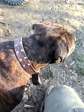 Snapshot of mitulik84 chatting on 12.19.25 mitulik84 online show from 12.19.25