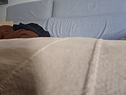 PeDrO2024 25 online show from 02.26.26