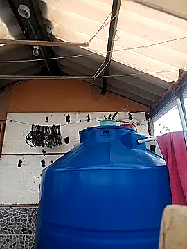 rebekka simpson online show from 10.16.25