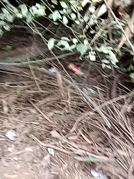 RockyNonStop online show from 12.24.24