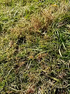 RockyNonStop online show from 01.18.25