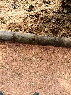 RockyNonStop online show from 01.19.25