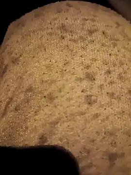 RockyNonStop online show from 01.22.25