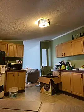 Snapshot of velvetta_ chatting on 12.22.24 velvetta online show from 12.22.24