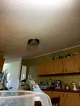 Snapshot of velvetta_ chatting on 12.17.25 velvetta online show from 12.17.25