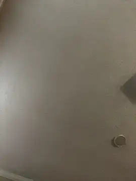 Snapshot of velvetta_ chatting on 12.18.25 velvetta online show from 12.18.25