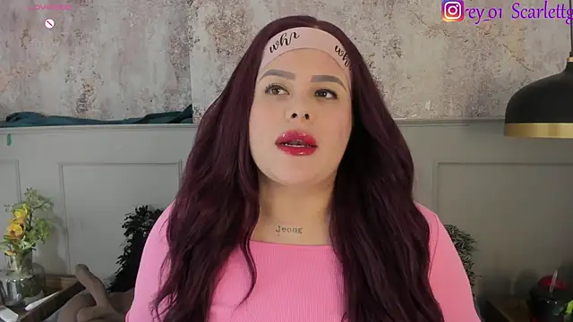 Snapshot of Scarlett_grey1 chatting on 12.28.24 Scarlett grey1 online show from 12.28.24