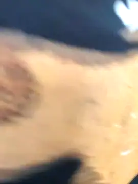 martinna tay online show from 03.01.26