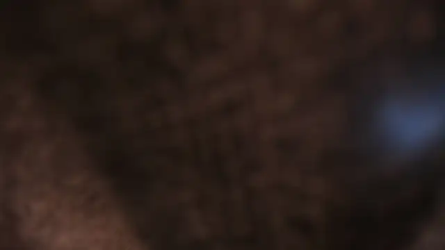 AliceHanz online show from 01.08.26