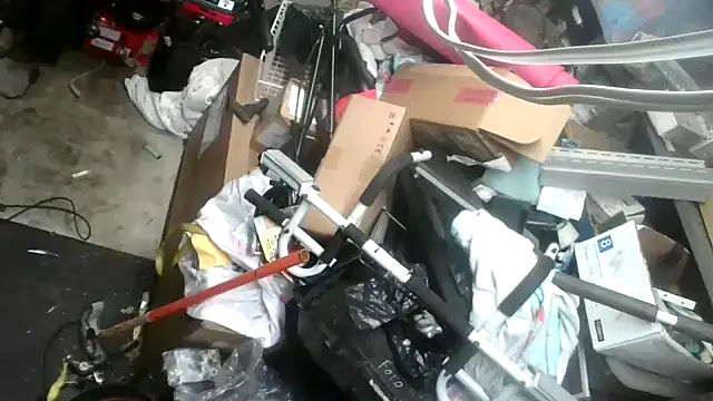 tongueispowerr6d9 online show from 01.16.25