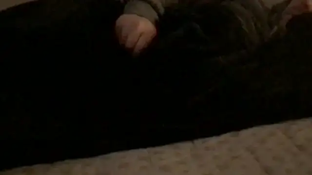 Snapshot of Rock_Pierce chatting on 02.28.26 Rock Pierce online show from 02.28.26