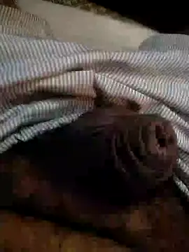 Snapshot of Kinkyluvi chatting on 01.06.25 Kinkyluvi online show from 01.06.25