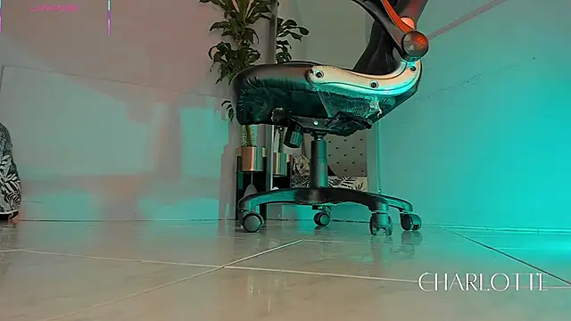 Snapshot of charlotte__grey chatting on 11.20.25 charlotte grey online show from 11.20.25