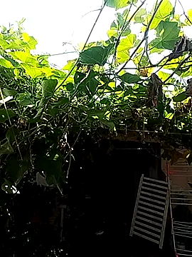 Putaepirocudo online show from 04.14.26