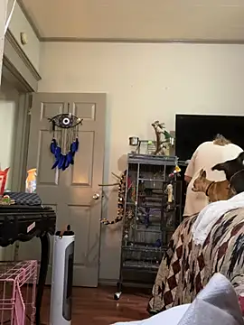 lezbean24 online show from 03.11.26