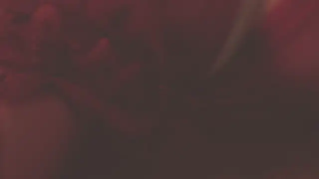 oxiris 1 online show from 01.16.25