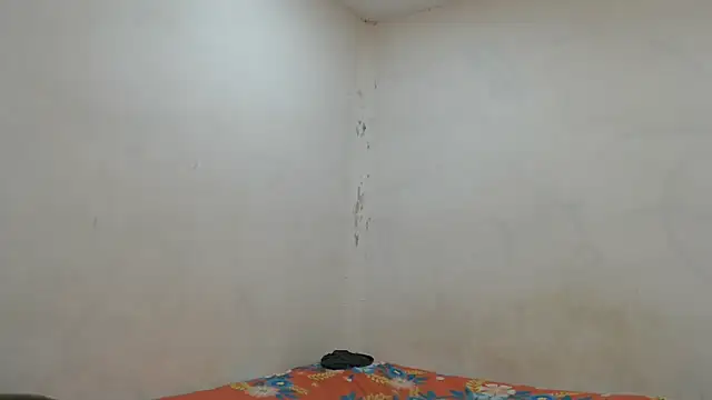 danielitopapuu online show from 11.07.25