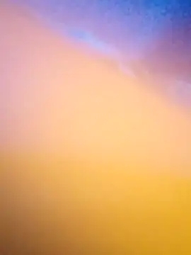 McdyllanXX online show from 09.14.25