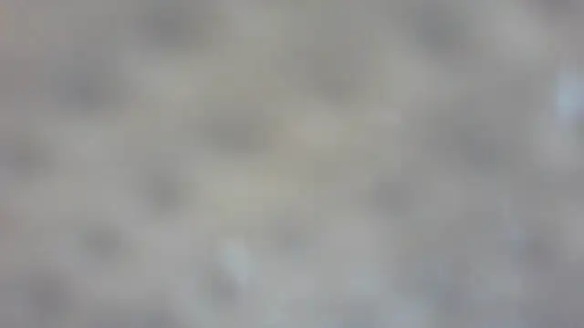 Snapshot of RoseRed69 chatting on 10.25.25 RoseRed69 online show from 10.25.25