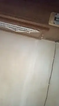 Snapshot of Dllarge chatting on 10.15.25 Dllarge online show from 10.15.25