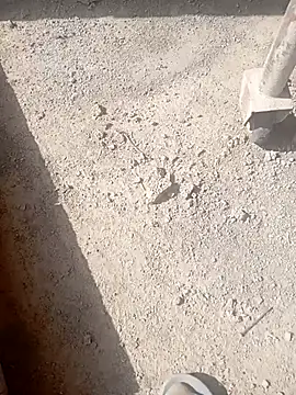 Snapshot of Kurtsikici@xh chatting on 10.21.25 Kurtsikicixh online show from 10.21.25