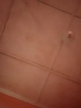 Snapshot of bebsexy chatting on 12.14.25 bebsexy online show from 12.14.25