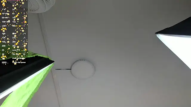 Snapshot of BILIE_ROUSE1 chatting on 01.24.25 BILIE ROUSE1 online show from 01.24.25