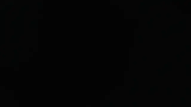 Liaroberts1 online show from 01.24.25