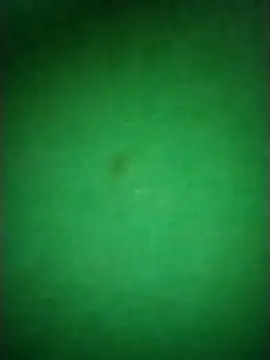 Zane Natha online show from 11.10.25