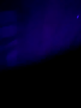 nehacplsex online show from 01.25.25