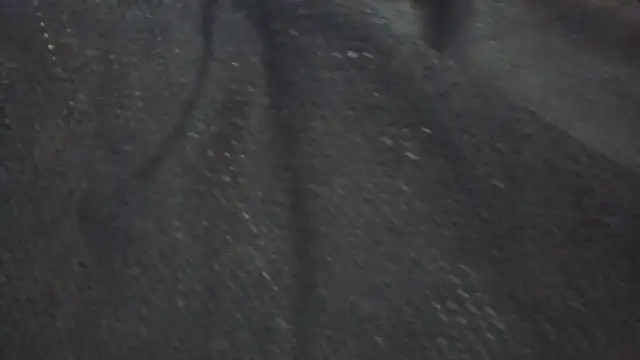 Leonul online show from 03.24.26