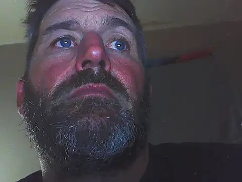 pipeload1275 online show from 11.01.25